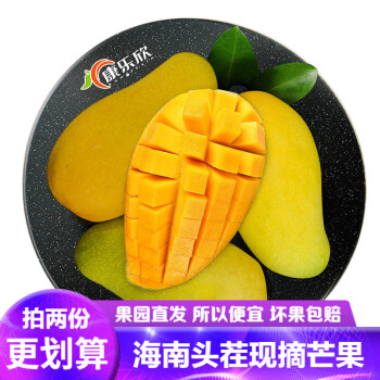 康乐欣 海南三亚金煌芒 大芒果 新鲜水果 超大果2kg装（单果重450g以上）