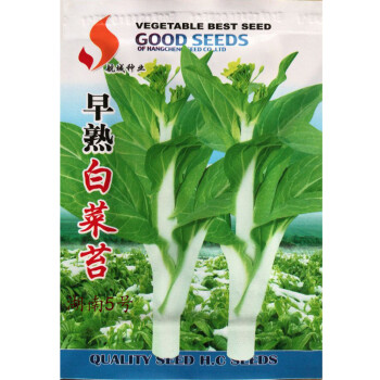 民汇园:蔬菜菌类价格走势及推荐|长尾标题