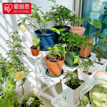 花架/装饰架的价格历史走势和销量趋势分析