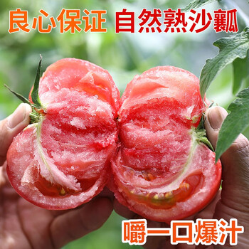 密水农家 密云本地 新鲜沙瓤西红柿 2000g