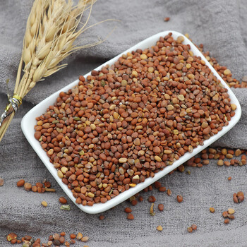 莱菔子250g克萝卜子菜菔子白萝卜籽莱服子生莱菔子天然中药材 莱菔子