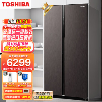 东芝冰箱548升双门,雾化保鲜,精准变频感温,价格走势及好评推荐