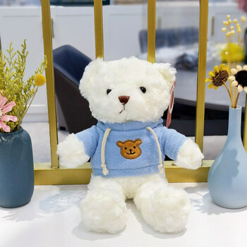 玩偶oc小熊泰迪熊抱抱熊毛绒玩具公仔礼盒装女 白熊蓝卫衣 50厘米[礼