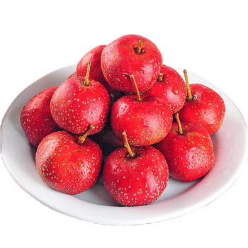 青尊园山东新鲜大山楂鲜果当季现摘七月红大金星山楂红果冰糖葫芦用果