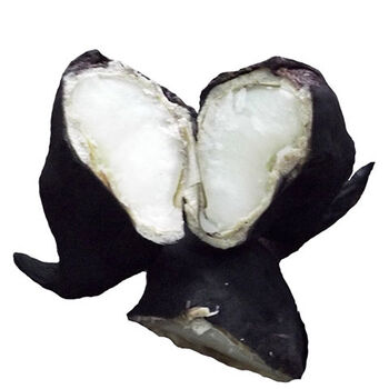 精选果蔬老菱角新鲜牛角菱粉糯黑棱角湖北特产5斤老菱角适合煮熟吃