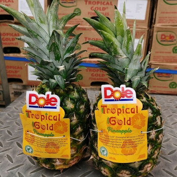 都乐金菠萝特大果都乐dole菲律宾原装进口金凤梨免挖眼免泡盐水2颗装