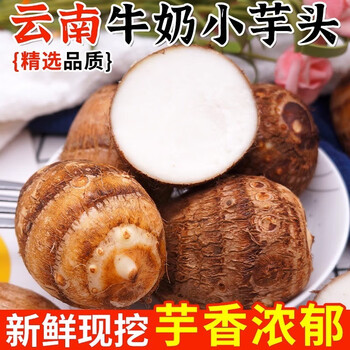 李享食丰牛奶小芋头香芋新鲜芋头当季牛奶芋头荔浦香芋 软糯香甜 产地直发 2斤（单果60-110g）
