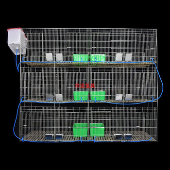 兔笼兔笼子家用新型式自动清粪养殖专用子母兔子笼子超大号繁殖兔笼