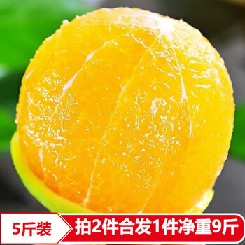 天乐优选冰糖橙新鲜橙子当季生鲜水果整箱 5斤单果100-120g
