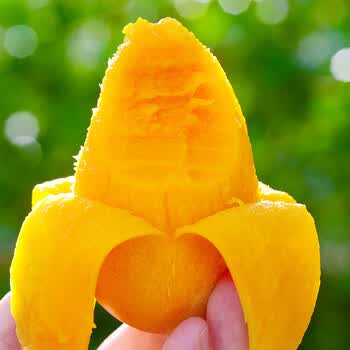 海南小台农芒果9斤新鲜现摘小台芒当季时令水果特产整箱2斤尝鲜装50