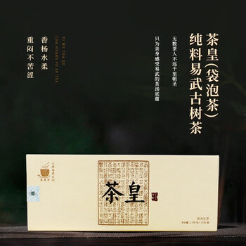 茶莫停茶皇2.5g袋泡茶