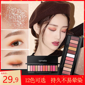 12色眼影盘防水不晕染初学者适用