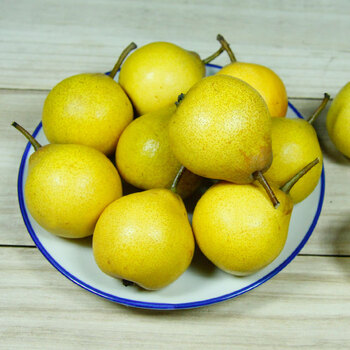 鞍山尖把梨5斤东北特产香水秋子梨新鲜水果5斤小果