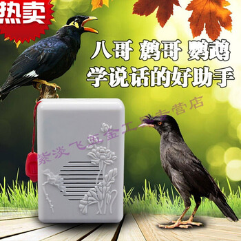 鸟叫播放器八哥鸟鹩哥鸟用鹦鹉学话机鸟学说话机播放器训鸟复读机小鸟