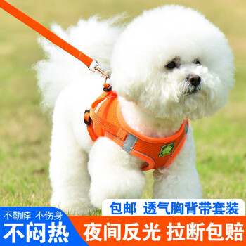 派乐特牵引绳/胸背带:舒适、安全、耐用的宠物必备装备