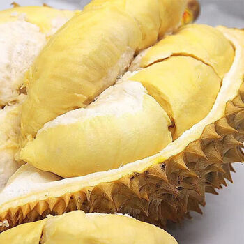 达林果蔬越南进口干尧榴莲带壳新鲜整个榴莲水果 精选a级果 6-7斤 (1