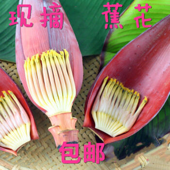 【精选S级】新鲜芭蕉花新鲜香蕉花芭蕉花蕾绿色蔬菜野菜 野生 香蕉花2斤