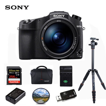 索尼（SONY）DSC-RX10M4 黑卡数码相机 1英寸大底 超长焦（蔡司24-600mm ）256G套装
