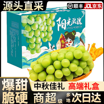 集年鲜 四川阳光玫瑰 葡萄新鲜采摘生鲜水果 彩箱中秋彩箱 2斤 A级果 单果8-10g