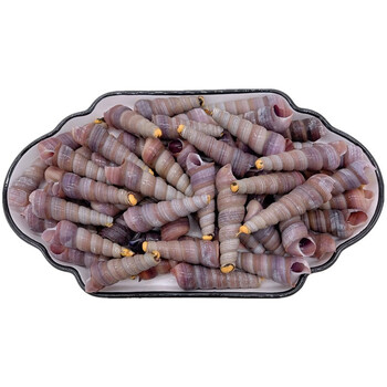 吱咴 钉螺 鲜活海螺丝 天海捕去尾钉螺无沙新鲜贝类 青岛海鲜水产 1.