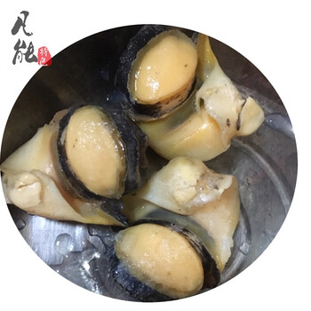 冷冻海螺肉 250g 新鲜海螺肉 非鲜活活体田螺 螺蛳螺丝 刺身海