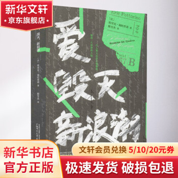 爱 毁灭 新浪潮 图书