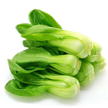 生果乐 叶菜类新鲜蔬菜 小油菜 海青菜 农家菜苏州青 【青菜】 1500g