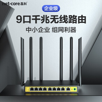 磊科（netcore） B11企业级全千兆9口无线路由器 5G双频1200M 多WAN口带机量80台