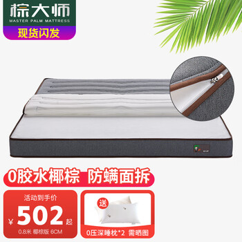 棕大师（PALM MASTER） 椰棕床垫偏硬薄棕榈棕垫天然乳胶防螨抑 可定制榻榻米折叠床垫 面拆防螨款15cm【椰棕版】 1.8米*2米