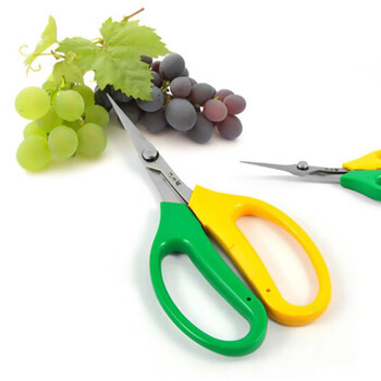 葡萄修果剪刀汪吾铨2108葡萄剪翘头疏果园艺盆栽果枝剪刀汪吾铨2108