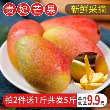 海南贵妃芒果 新鲜水果 应季热带水果 红金龙甜心芒 带箱2斤小果（50-100g）