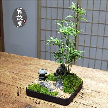 禅意苔藓微景观室内日式文竹盆景办公桌面枯山水石景观赏造景盆栽