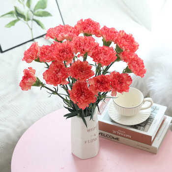 康乃馨零售单头多头真花束教师节情人节礼物瓶插花20支 火焰单头康18