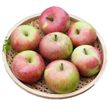 春光岛国光苹果新鲜应季鲜果农家/5/10斤酸甜老树国光水果果光 带箱10