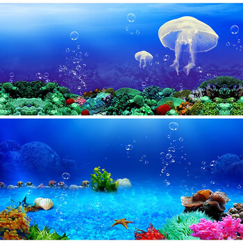哈宝哈贝 海底世界珊瑚沙滩 定做高清鱼缸背景纸贴纸字画3d浮雕龙图鱼缸水族箱壁画定制造景装饰仿真壁纸 正面有胶 定制款 请先联系客服咨询价格 图片价格品牌报价 京东