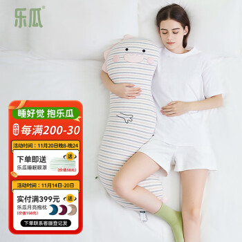 乐瓜抱枕靠垫,价格走势与销量趋势分析