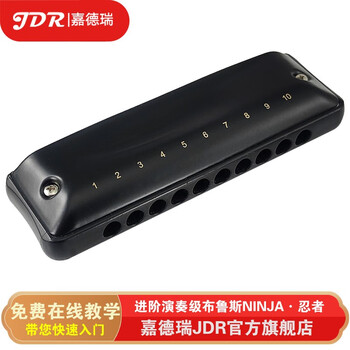 嘉德瑞10孔布鲁斯口琴忍者NINJA经典蓝调民谣流行歌曲风格初学入门进阶 A调