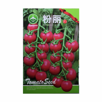 打造您的蔬菜和菌类生产小天地:民汇园蔬菜种子价格趋势