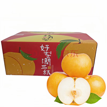 ZOCO正宗山东莱阳特产梨 秋月梨 秋月梨5斤 净重4.5斤6-9个