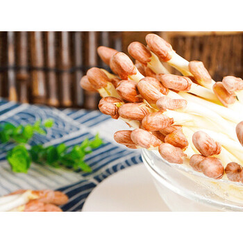 湖北农家新鲜花生芽3斤当季现摘花生苗蔬菜长寿芽火锅菜沙拉 1500g