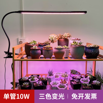 迈睿星全光谱led植物生长灯仿太阳光多肉花卉室内家用植物补光灯 10W（单管USB供电）