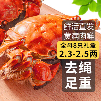 【活蟹】乾澄大闸蟹现货 全母2.3-2.6两8只 鲜活螃蟹海鲜水产礼盒装