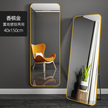 千棵树（PRETTYHOUSE）网红全身镜穿衣镜子家用学生宿舍挂墙立式试衣镜落地镜可移动立镜 40*150cm香槟金【壁挂+落地】
