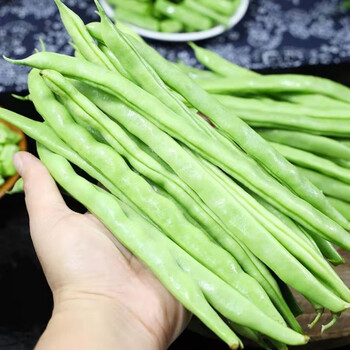 云南高原露天四季豆新鲜采摘长扁豆角当季蔬菜整箱9斤手工精选保鲜