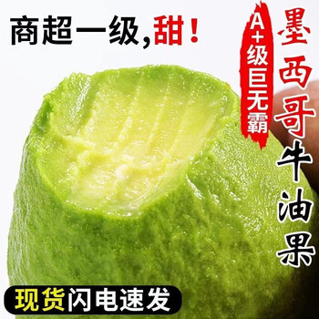 好媛好宇墨西哥牛油果进口当季新鲜水果 8个装特大果【单果160g-190g】