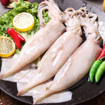 超大鱿鱼生鲜活新鲜深海冷冻水产大鱿鱼尤鱼整只烧烤批发 腾旺纳跃