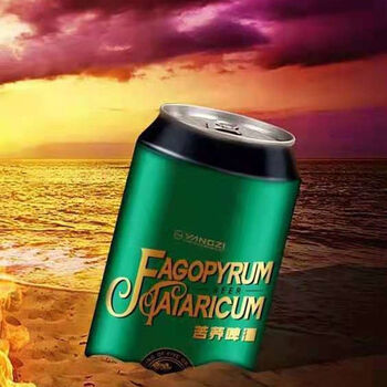 扬子苦荞啤酒扬子健康啤酒苦荞原浆啤酒罐易拉罐装整箱罐装啤酒 330ml
