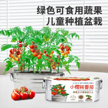 IAMCityFarmer品牌绿植盆栽价格走势和口碑评测