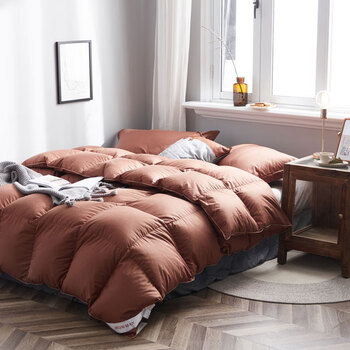 斯诺曼（snowman）被芯家纺 保暖加厚90%白鸭绒被 加大双人羽绒被 冬被被子 咖啡 填充量1.45kg 220*240cm