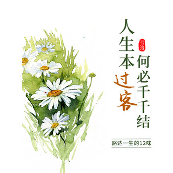 人生本过客何必千千结豁达一生的12味心药